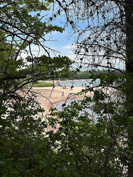 IMG_3643