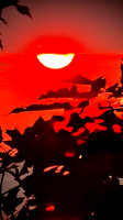 IMG_2778