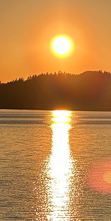 IMG_2854