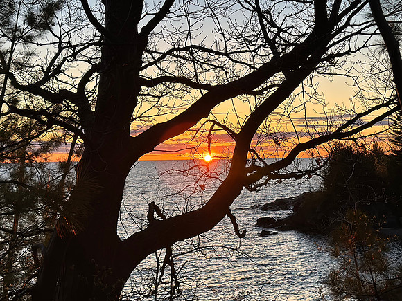 IMG_3079