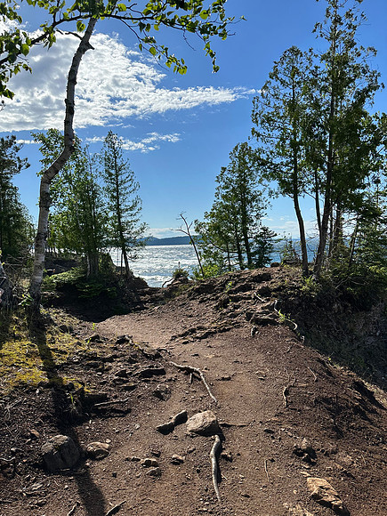 IMG_3655