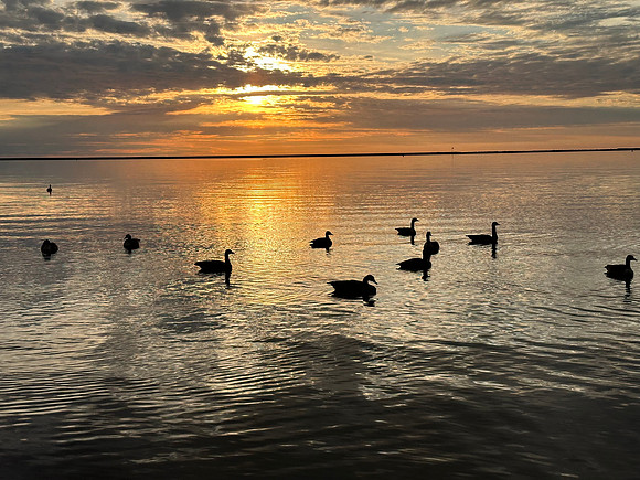 IMG_3230
