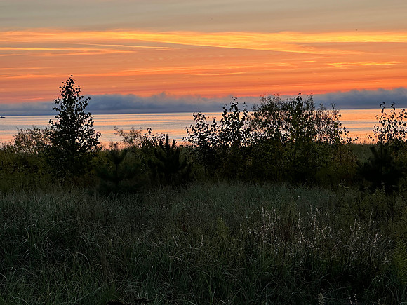 IMG_0784