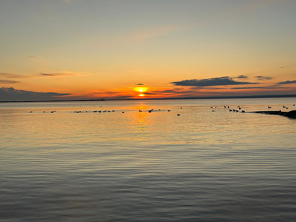 IMG_1232