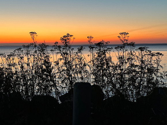 IMG_1254