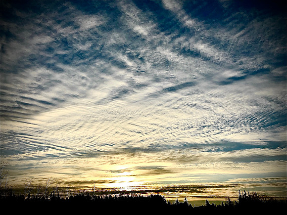 wintersky - Copy
