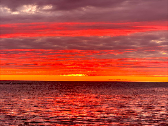 0E4CD7E1-65DD-44C9-9683-1053011E7F2E