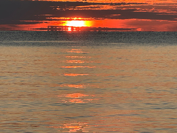 IMG_4447