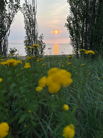 IMG_7992